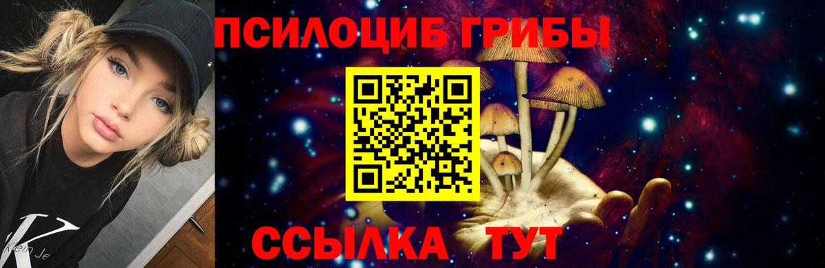 закладки  Галлюциногенные грибы Magic Shrooms  Вход с VPN  Энгельс  Галлюциногенные грибы Psilocybe 